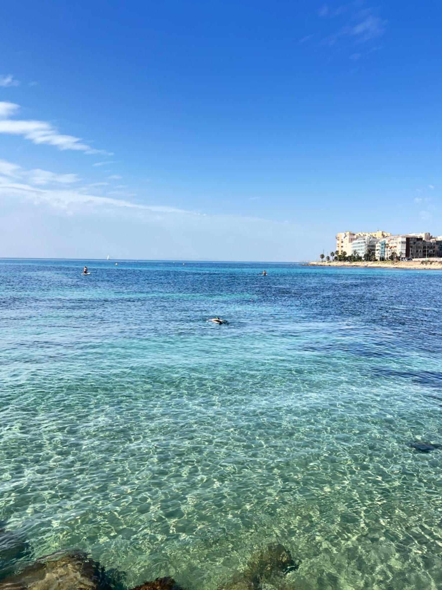 Renovated Cosy Studio 350 M Playa Del Cura, With Official Touristic License Torrevieja Exterior foto